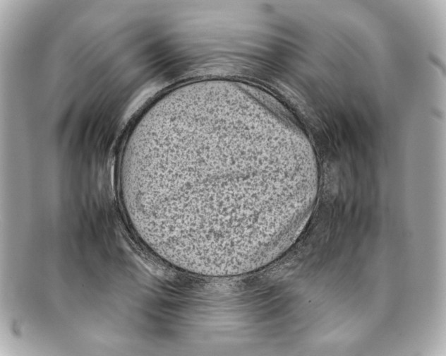 X0000097961078200804211056