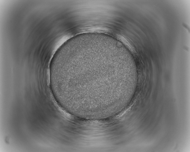 X0000097961079200804211056