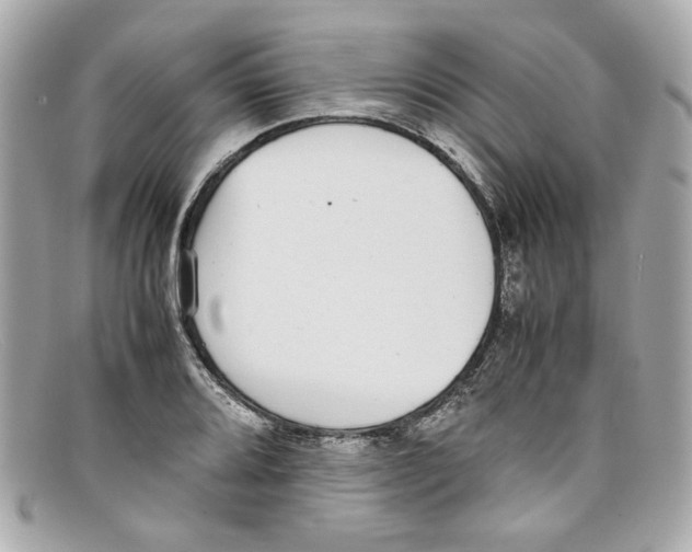 X0000097961080200804211056