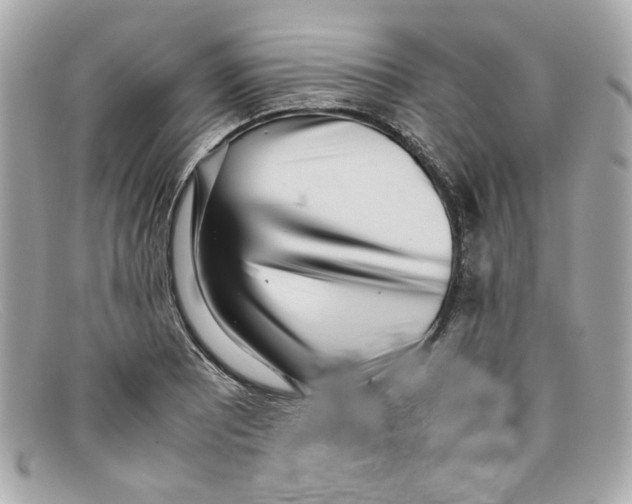X0000097961081200804211056