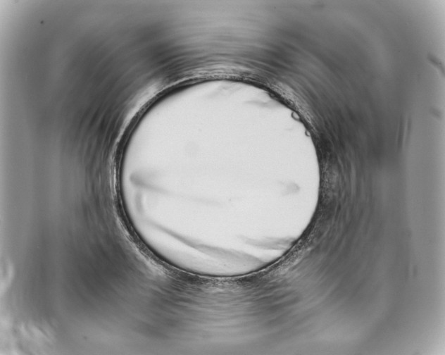 X0000097961083200804211056