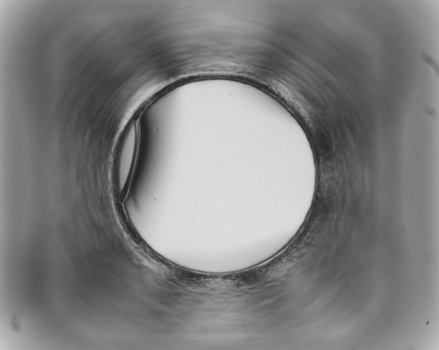 X0000097961085200804211056