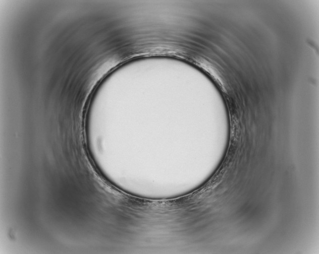 X0000097961087200804211056