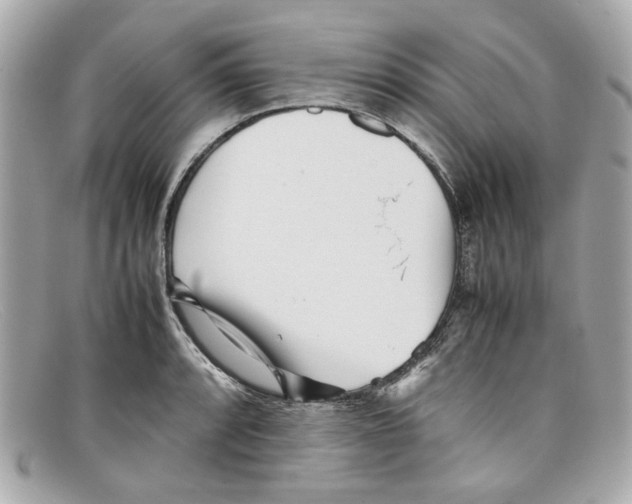 X0000097961088200804211056