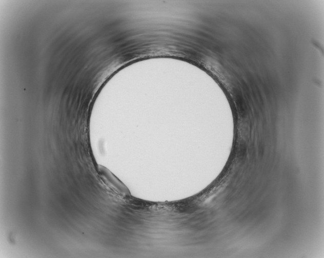 X0000097961089200804211056