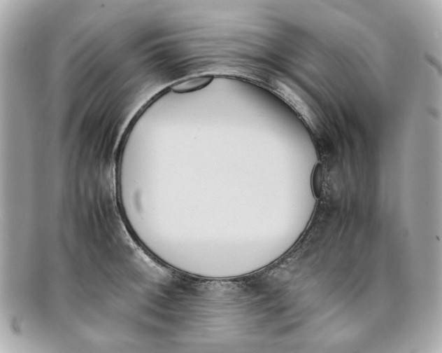 X0000097961092200804211056
