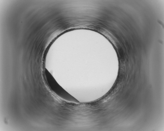 X0000097961093200804211056