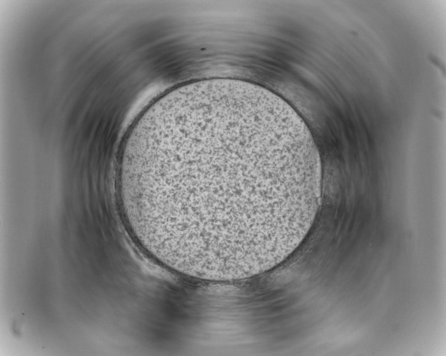 X0000097961094200804211056