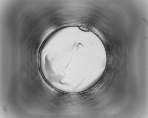 X0000097961095200804211056