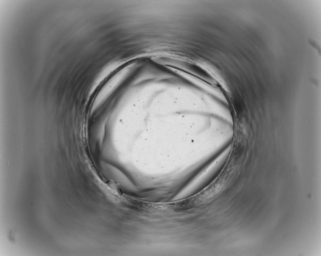 X0000097961101200804211056