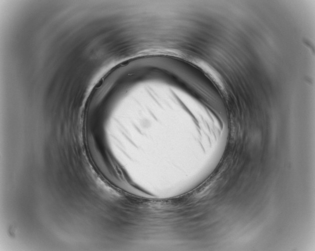 X0000097961102200804211056