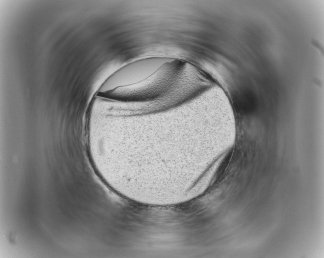 X0000097961103200804211056