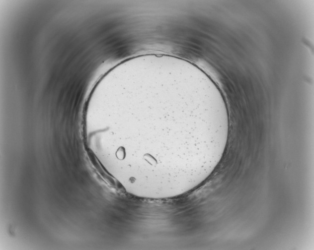X0000097961104200804211056
