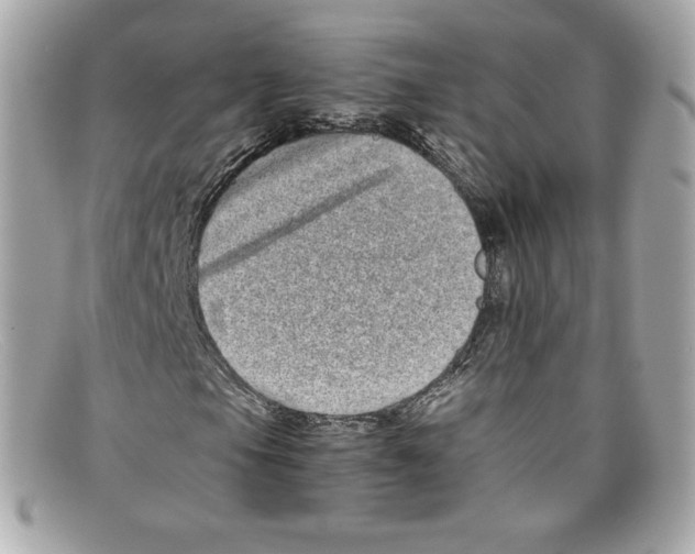 X0000097961105200804211055