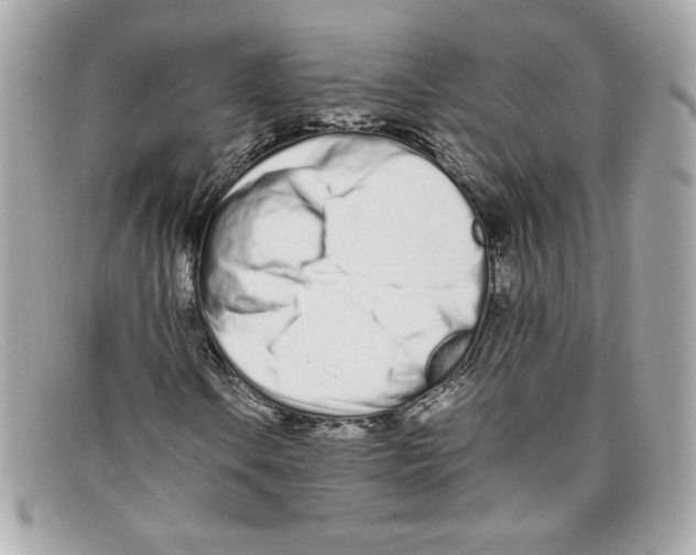 X0000097961106200804211055