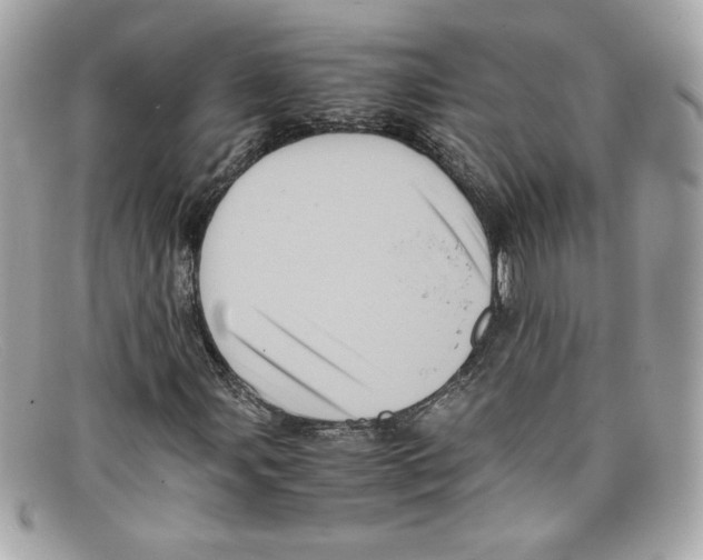 X0000097961107200804211055