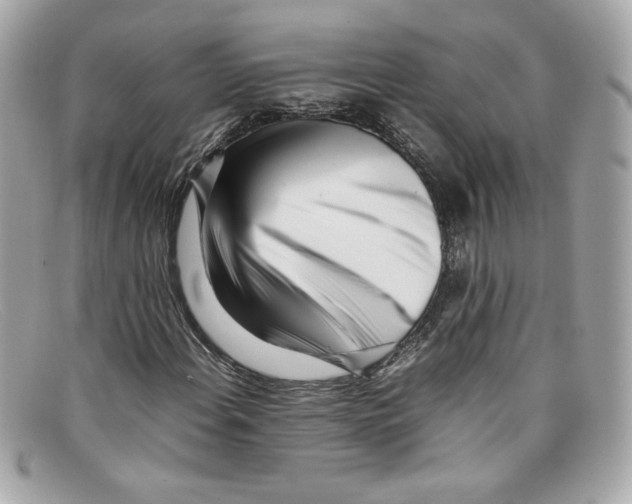 X0000097961108200804211055