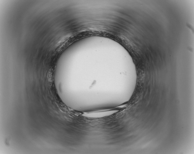 X0000097961110200804211055