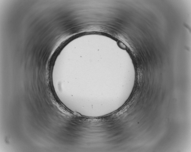 X0000097961116200804211055