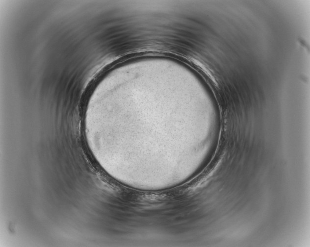 X0000097961117200804211055