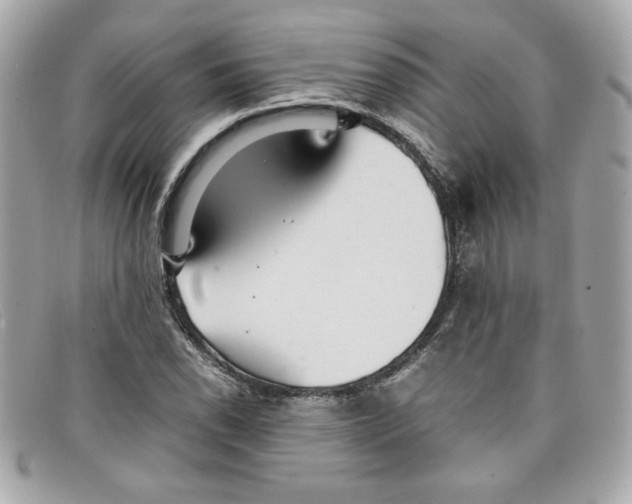 X0000097961118200804211055