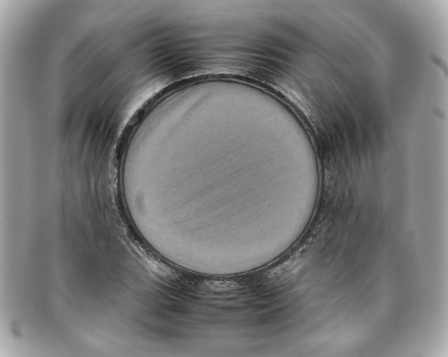 X0000097961119200804211055