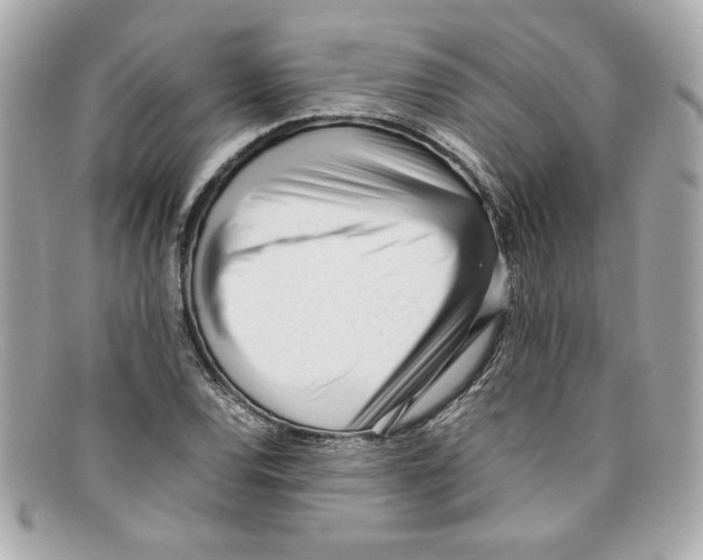 X0000097961120200804211055