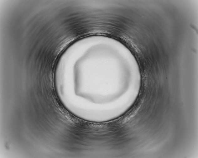 X0000097961121200804211055