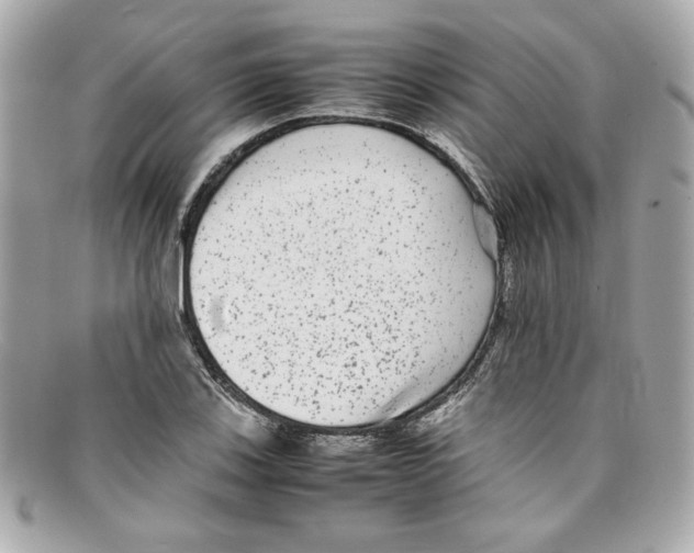 X0000097961123200804211055