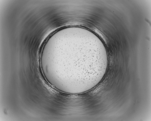 X0000097961124200804211055