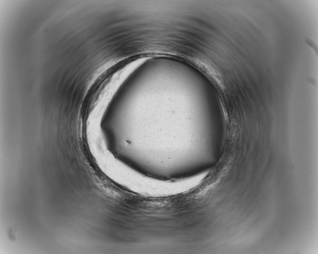 X0000097961125200804211055