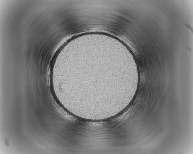 X0000097961126200804211055