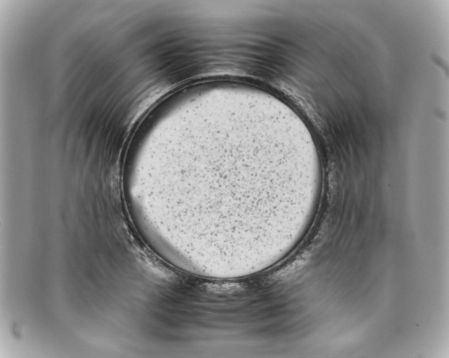 X0000097961129200804211055