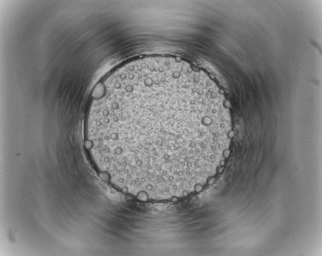 X0000097961130200804211055