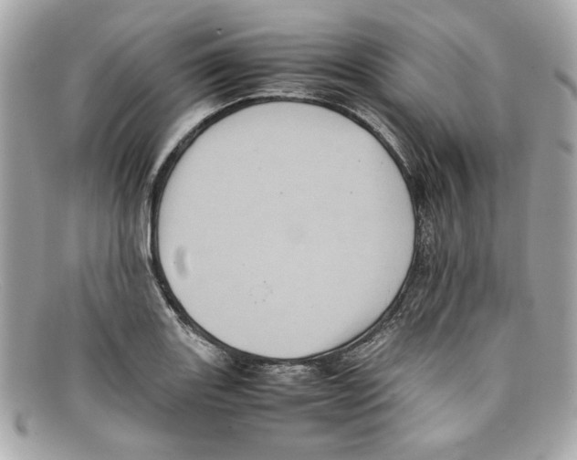 X0000097961131200804211055