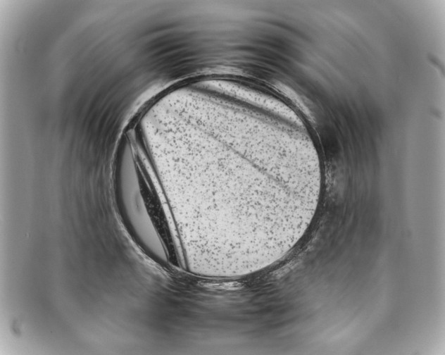 X0000097961133200804211056
