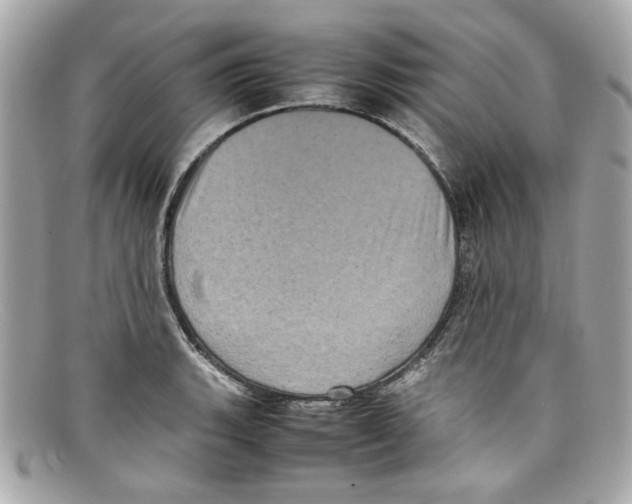 X0000097961135200804211056