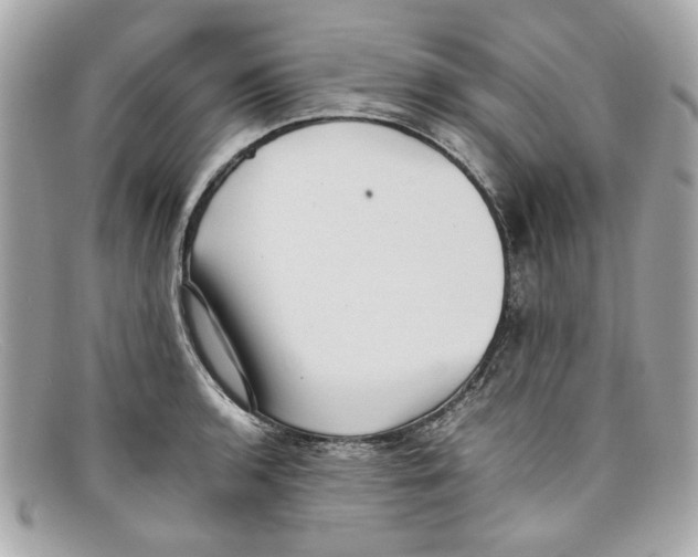 X0000097961136200804211056