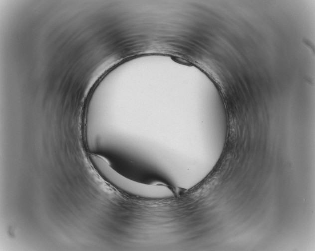 X0000097961138200804211056