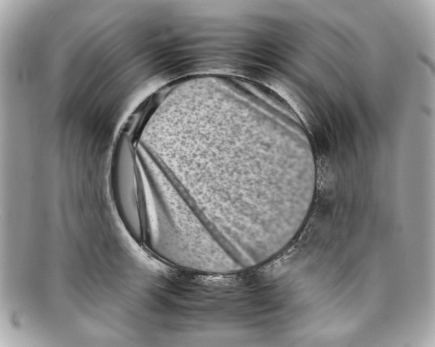 X0000097961139200804211056