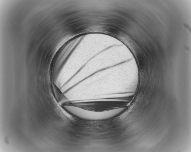 X0000097961141200804211056