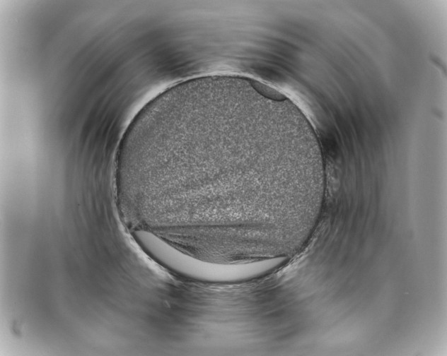 X0000097961142200804211056