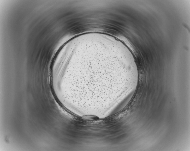 X0000097961143200804211056