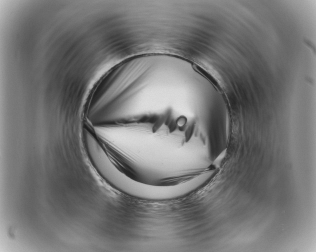 X0000097961144200804211056