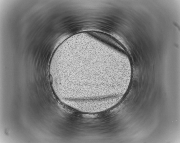 X0000097961145200804211056