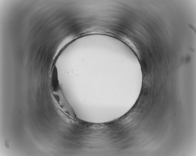 X0000097961146200804211056
