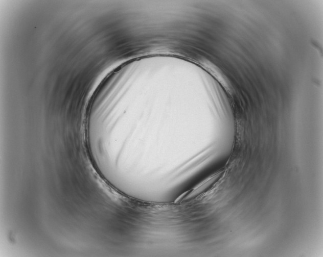 X0000097961148200804211056