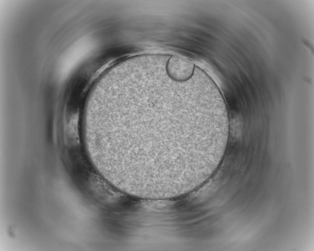 X0000097961150200804211056