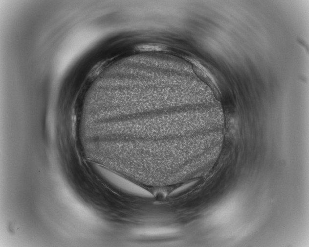 X0000097961151200804211056