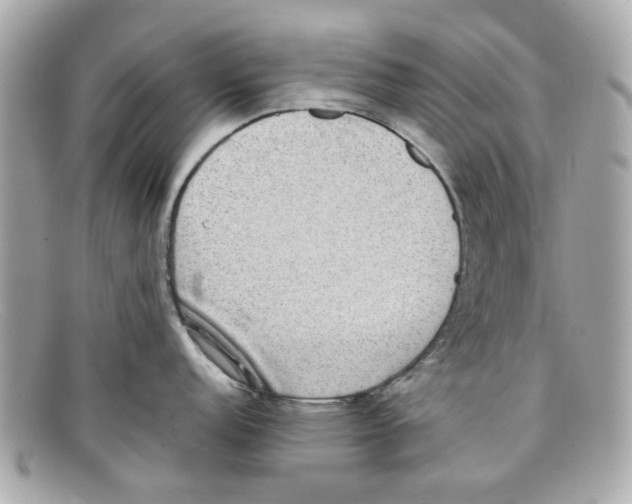 X0000097961152200804211056